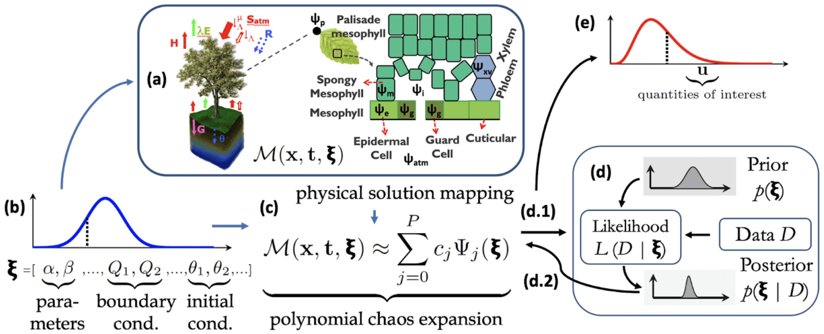 mechanistic model