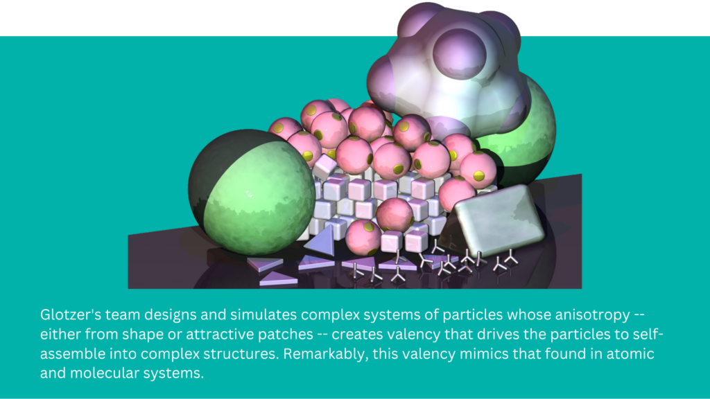 Glotzer's team designs and simulates complex systems of particles whose anisotropy -- either from shape or attractive patches -- creates valency that drives the particles to self-assemble into complex structures. Remarkably, this valency mimics that found in atomic and molecular systems.