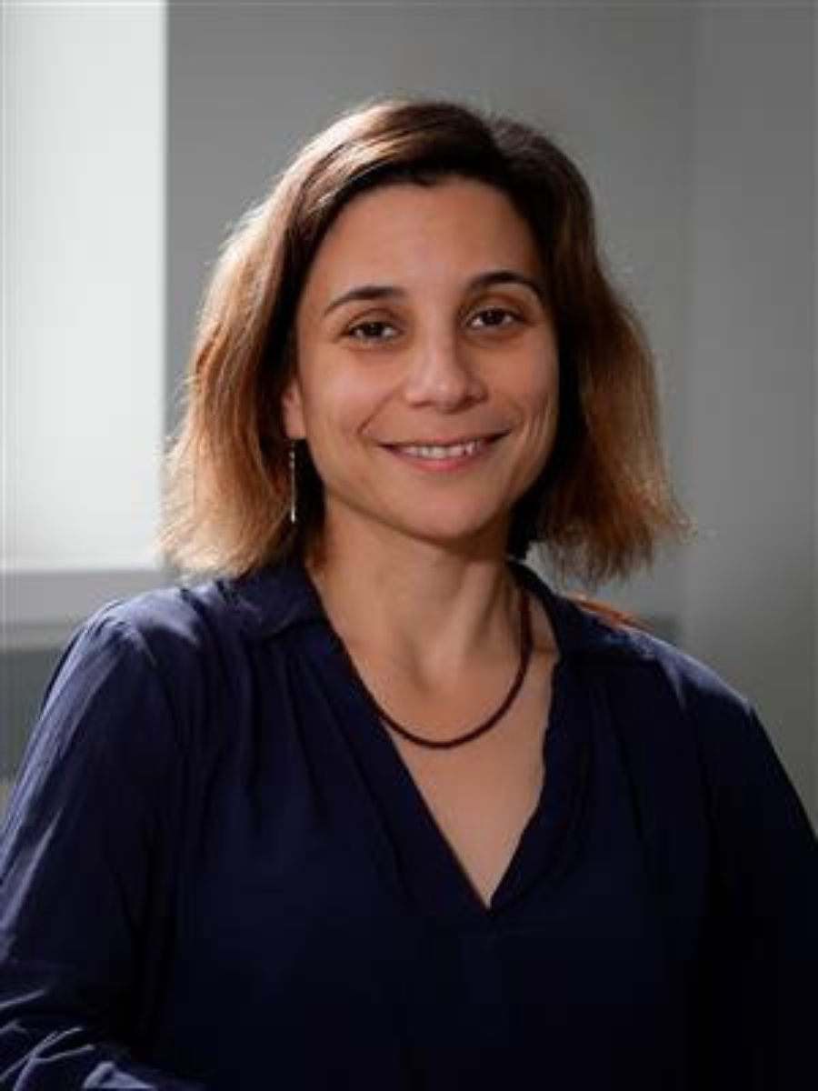 Portrait of Elif Ertekin, UIUC