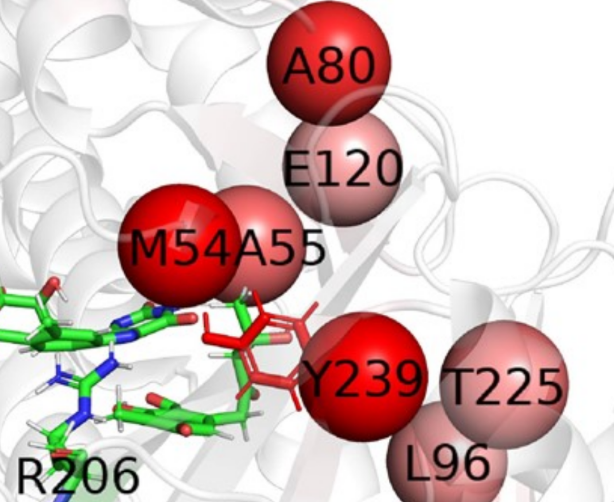 Reasearch image of molecules